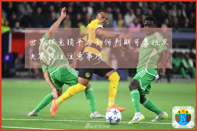 世界杯竞猜平台如何判断可靠性及决赛投注注意事项