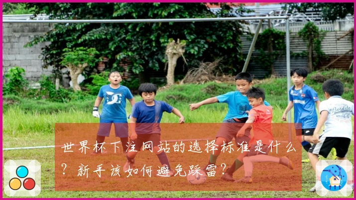 世界杯下注网站的选择标准是什么？新手该如何避免踩雷？