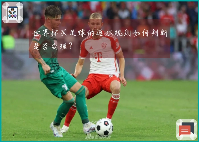 世界杯买足球的返水规则如何判断是否合理？