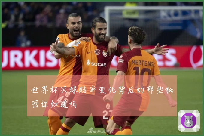 世界杯买球赔率变化背后的那些秘密你知道吗