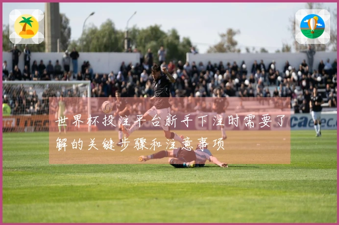 世界杯投注平台新手下注时需要了解的关键步骤和注意事项