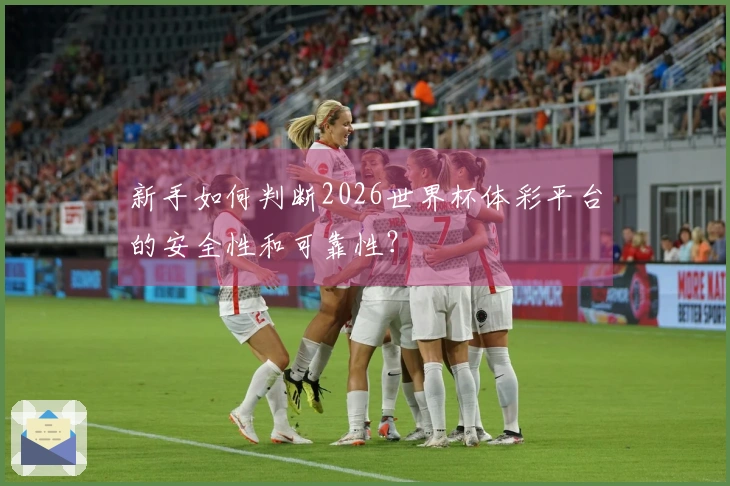 新手如何判断2026世界杯体彩平台的安全性和可靠性？