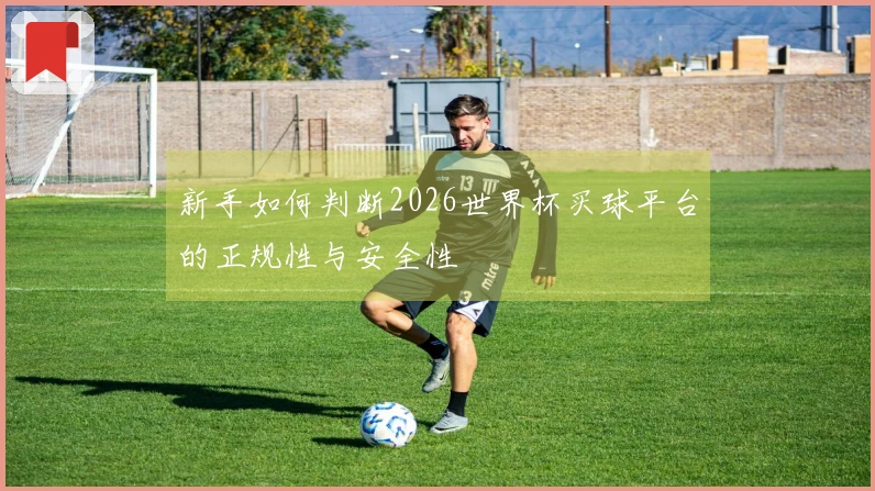 新手如何判断2026世界杯买球平台的正规性与安全性