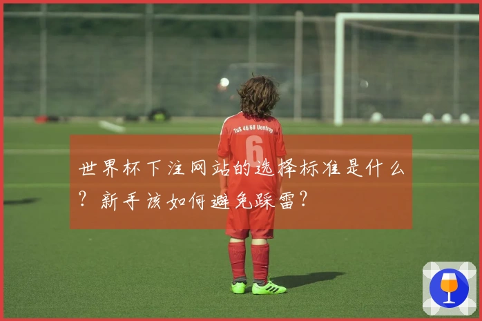 世界杯下注网站的选择标准是什么？新手该如何避免踩雷？