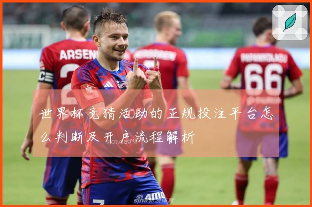 世界杯竞猜活动的正规投注平台怎么判断及开户流程解析