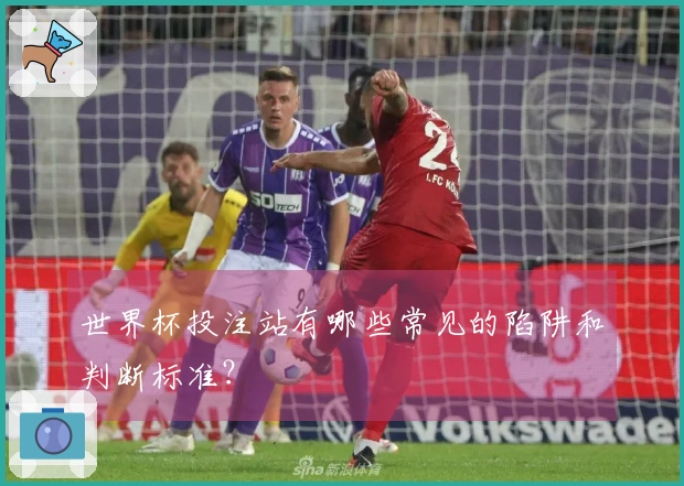 世界杯投注站有哪些常见的陷阱和判断标准？