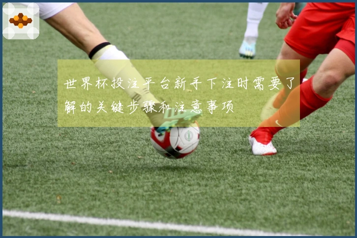 世界杯投注平台新手下注时需要了解的关键步骤和注意事项