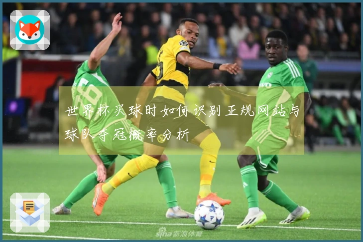 世界杯买球时如何识别正规网站与球队夺冠概率分析