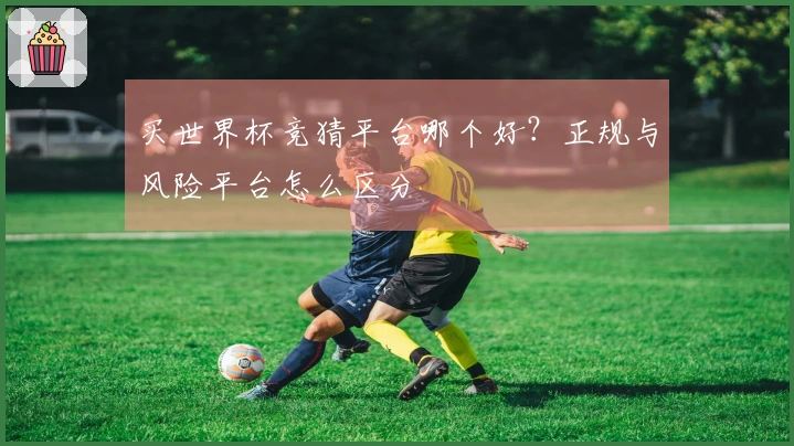 买世界杯竞猜平台哪个好？正规与风险平台怎么区分