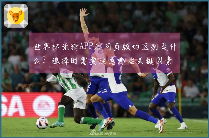 世界杯竞猜APP和网页版的区别是什么？选择时需要注意哪些关键因素？