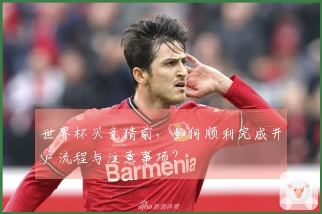 世界杯买竞猜前，如何顺利完成开户流程与注意事项？