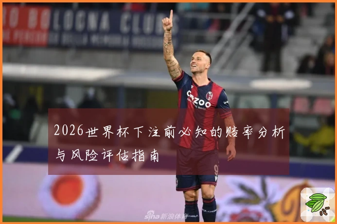 2026世界杯下注前必知的赔率分析与风险评估指南