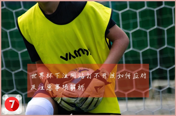 世界杯下注网站打不开该如何应对及注意事项解析
