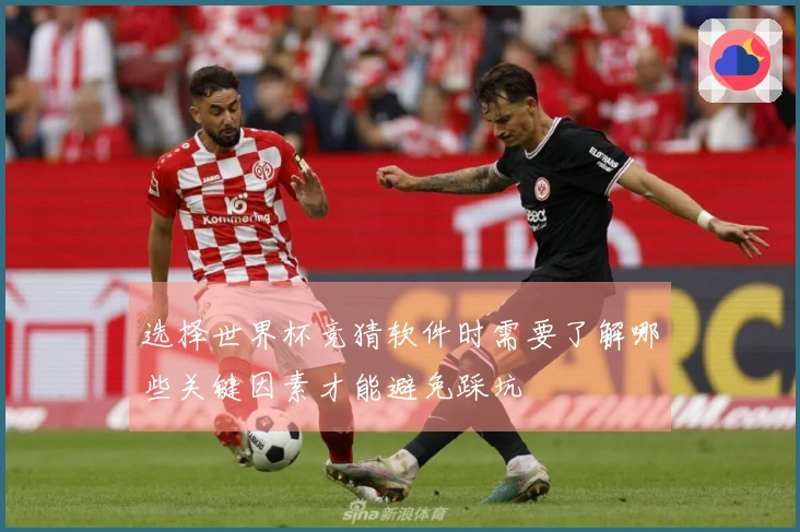 选择世界杯竞猜软件时需要了解哪些关键因素才能避免踩坑