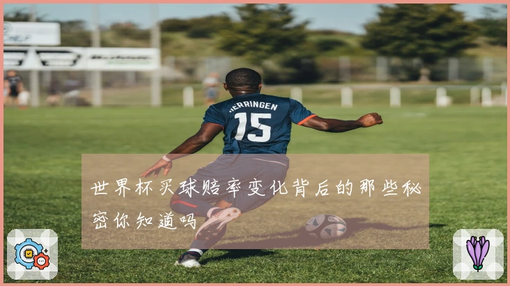 世界杯买球赔率变化背后的那些秘密你知道吗