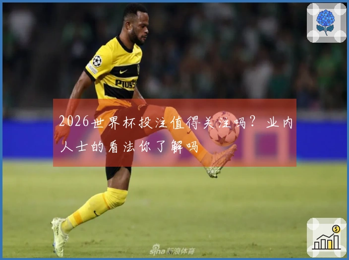2026世界杯投注值得关注吗?业内人士的看法你了解吗