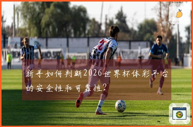 新手如何判断2026世界杯体彩平台的安全性和可靠性？